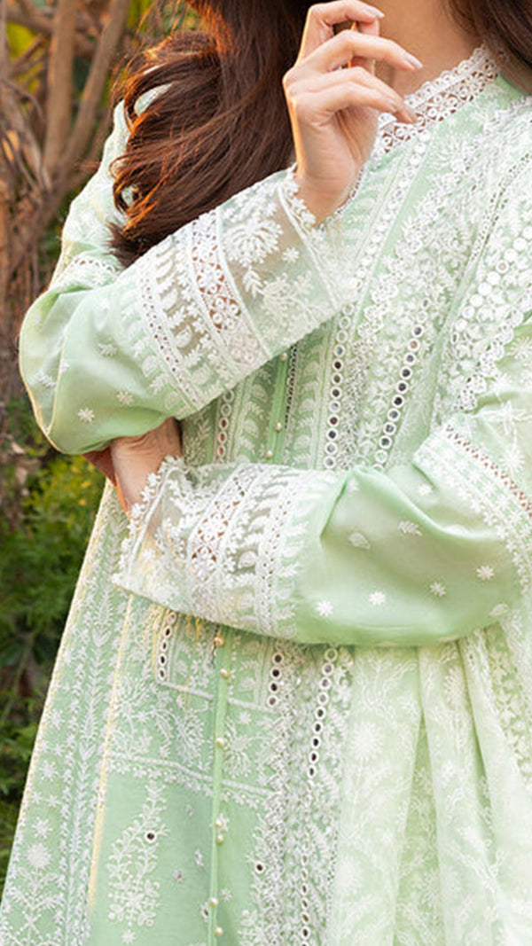 Luxury Lawn '25 - Design 7B
